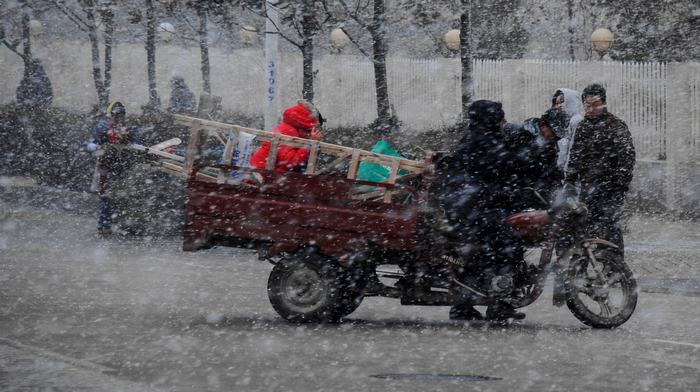 《顶风冒雪》