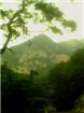 泰山风景图