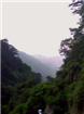 泰山风景图