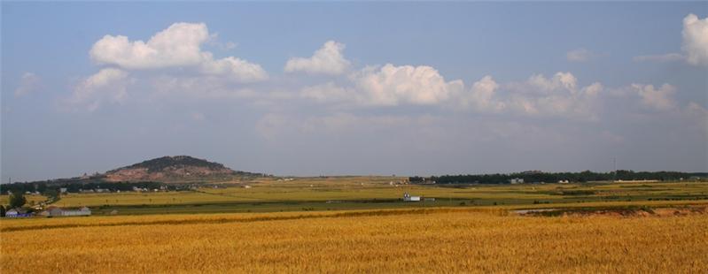 希望的田野