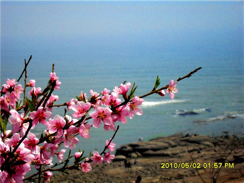 面向大海，春暖花开