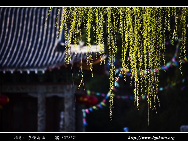 大美临朐，龙湾神韵（五）