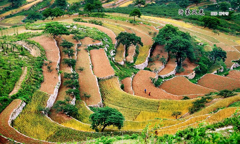 沂蒙风光