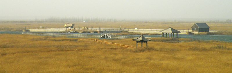 冬季黄河生态园美景