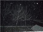 《2011年第一场雪夜景》-4