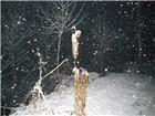 《2011年第一场雪夜景》-2