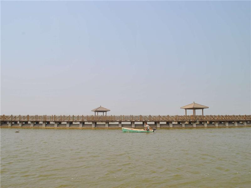 野鸭·小船·栈桥