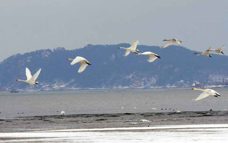 追逐梦想-孔子故乡 中国山东国际网络摄影大