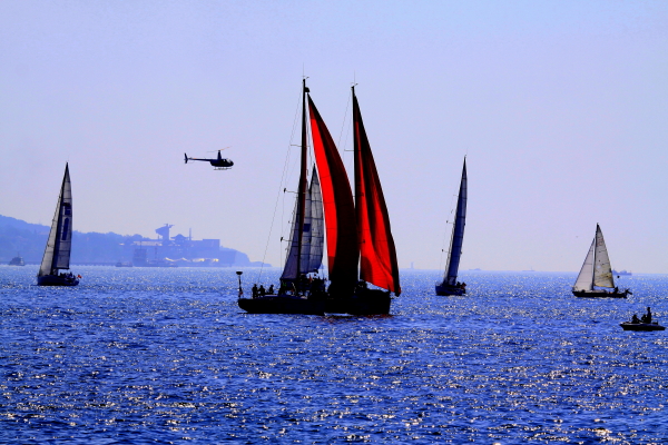 威海世帆赛掠影4