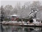 青州范公亭公园雪景