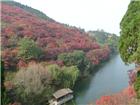 秋色--济南红叶谷