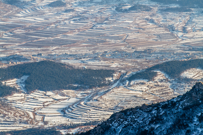 【中国农民网】