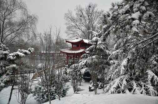 雪后百脉泉