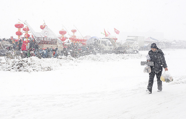 风雪无阻忙年路