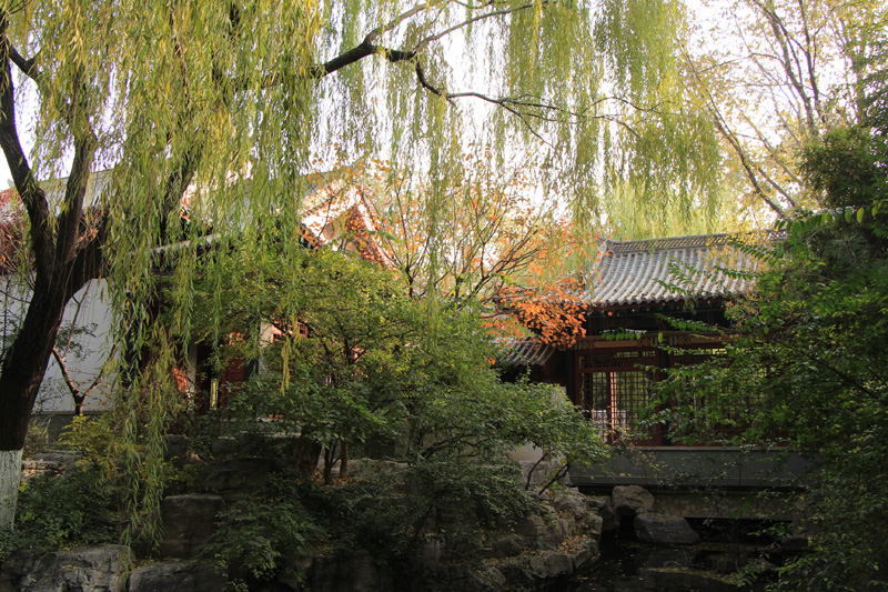 趵突泉公园一景