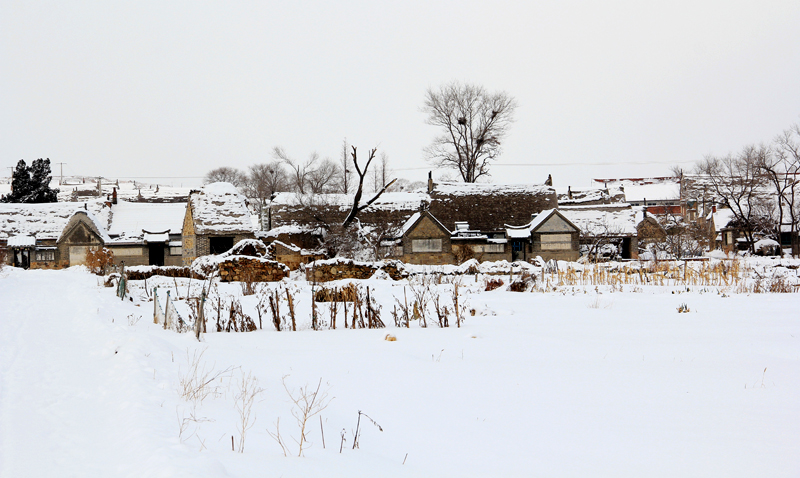 瑞雪兆乡村