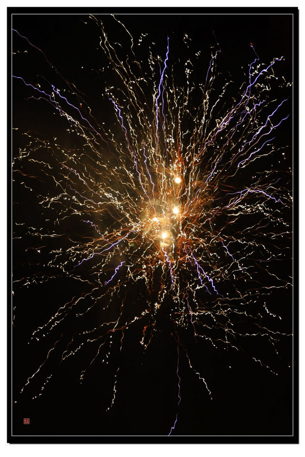 即逝的美丽（一）