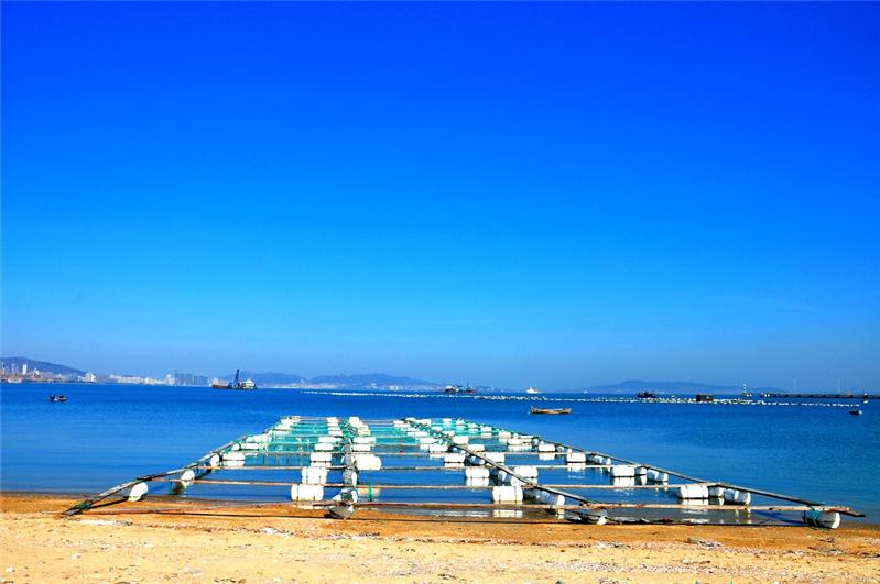 蓝色大海