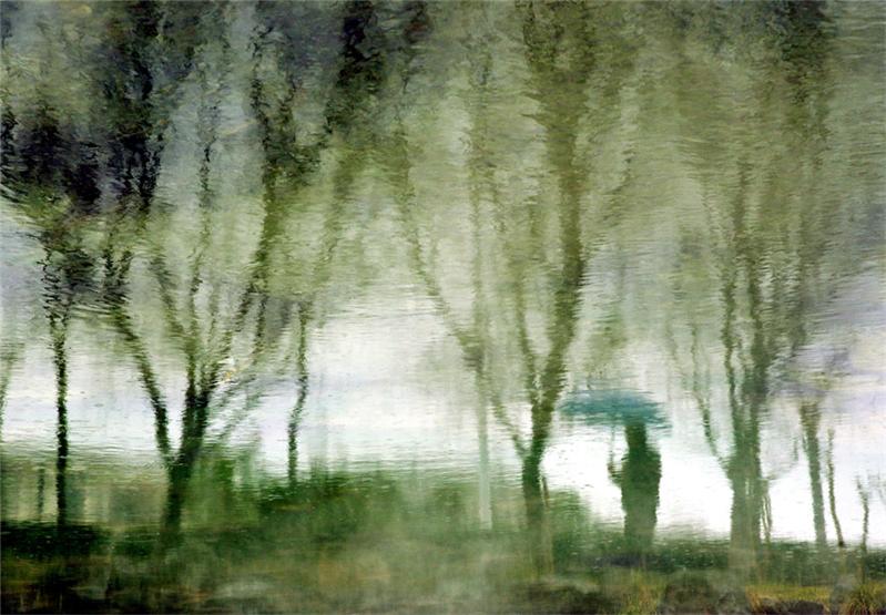 二月烟雨