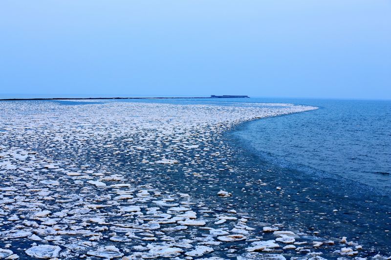 东营那片海