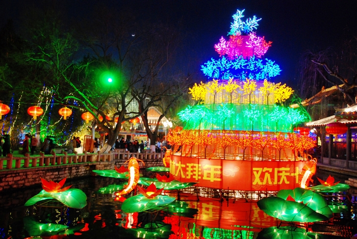 鲤跃莲池夜璀璨