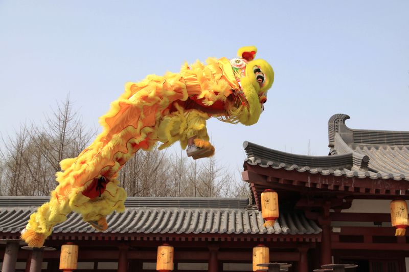 南狮雄风