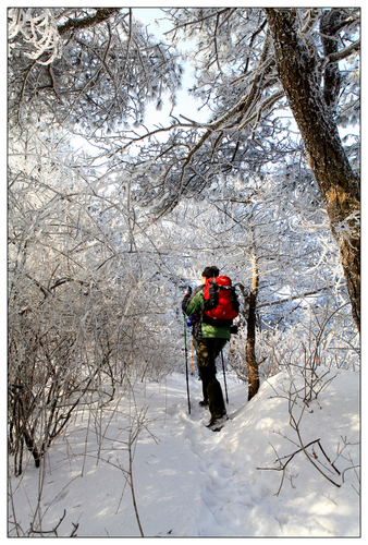 蒙山冬韵-童话世界