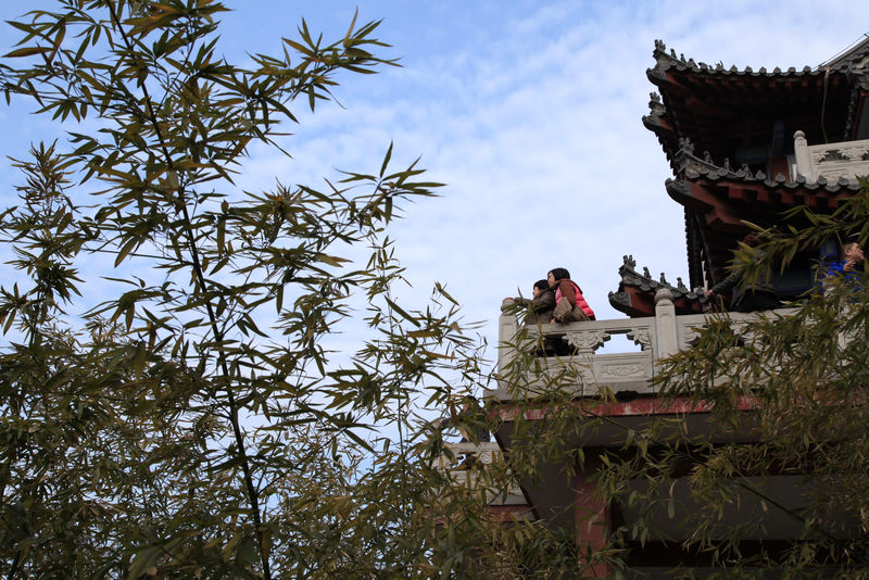 千佛山下是我家