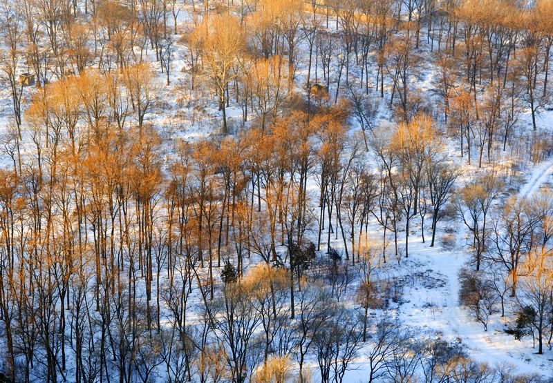 冬天里的一把火
