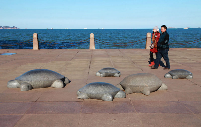 与龟赛跑乐逍遥