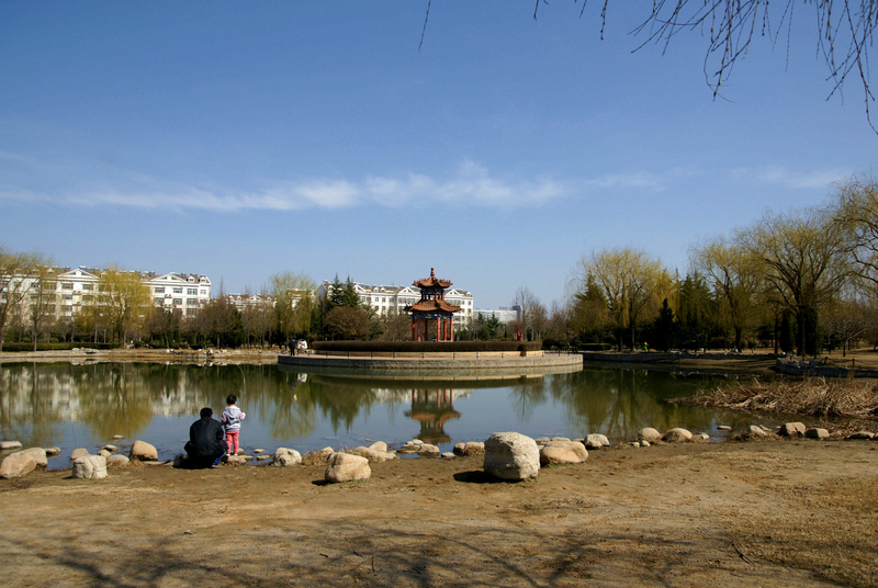 春日的植物园一角