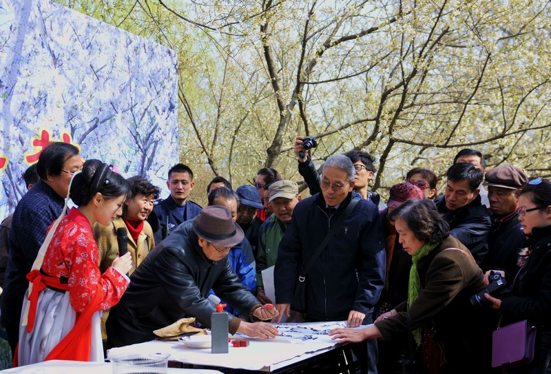 樱花树下话樱花