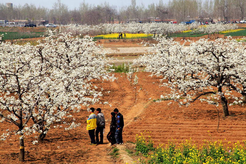 少年也爱春光美