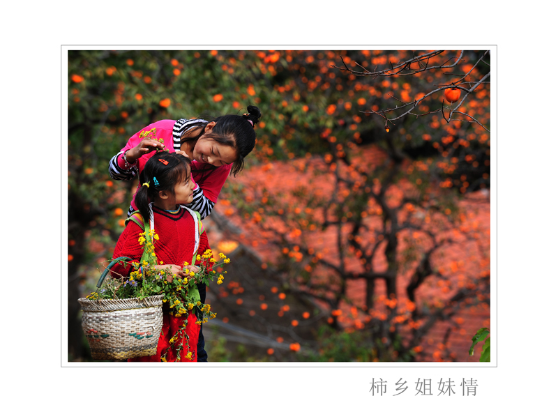 柿乡姐妹情.