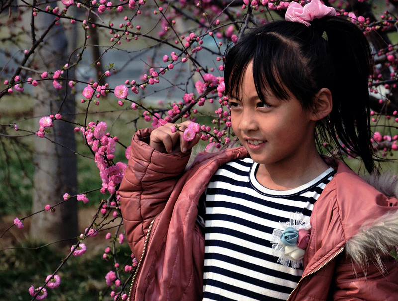 桃花仙子