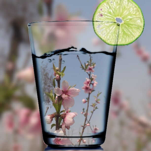 花影