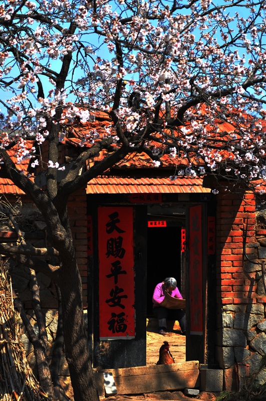 《小院》