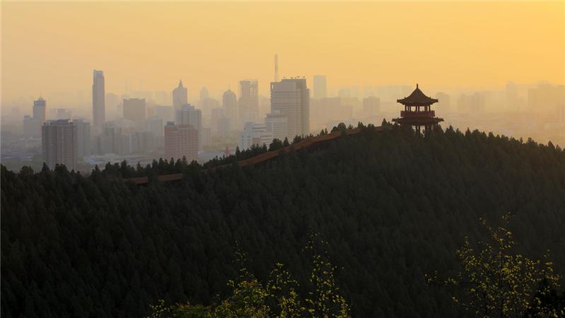 晨