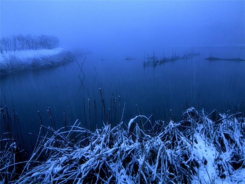 《静谧的雪夜》