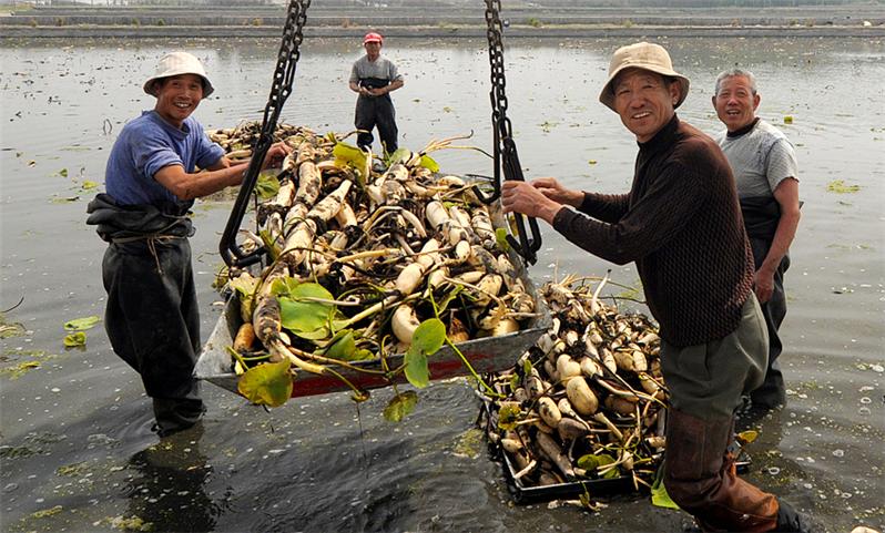 喜悦