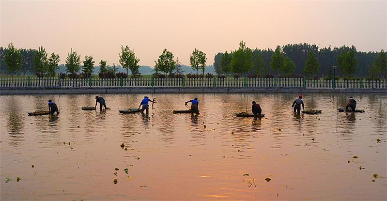 夕阳里