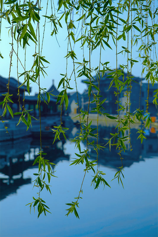 南阳古镇春意浓