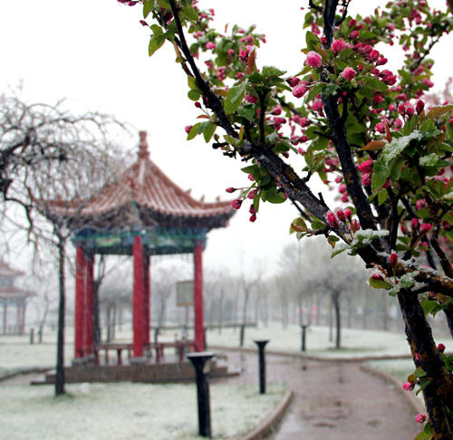 春雪