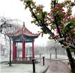 春雪