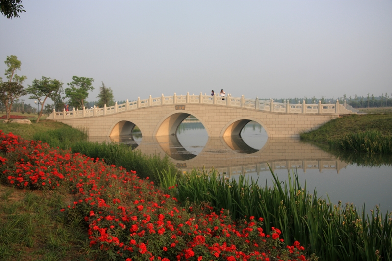 作品简介                          汶上莲花湖湿地