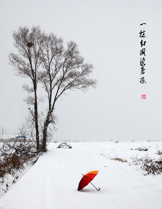 一抹红润染苍凉