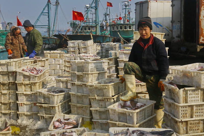 出海归来鱼满框