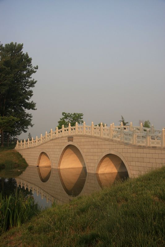 莲花湖湿地“桥”4