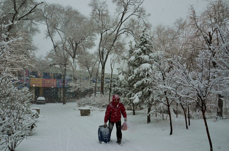 作品简介                           暴风雪肆虐,也阻挡不住远行游子