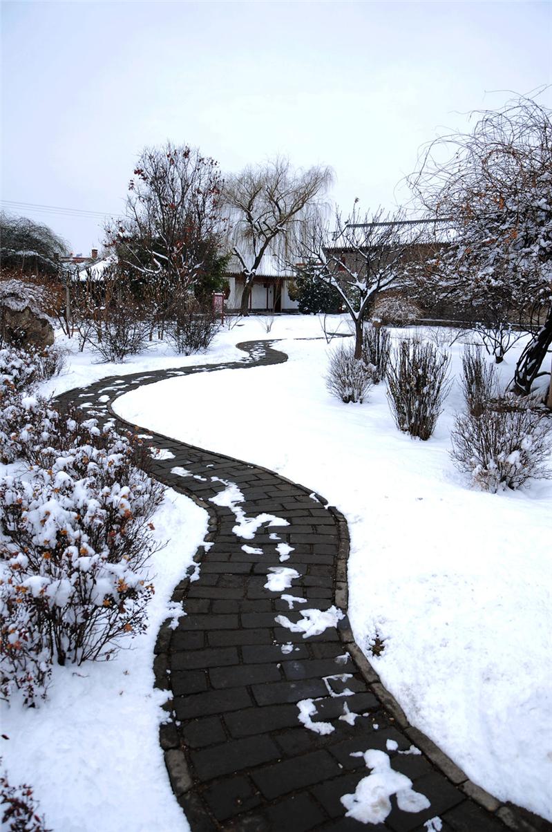 雪景中的乡间小路--摄影：王宪金